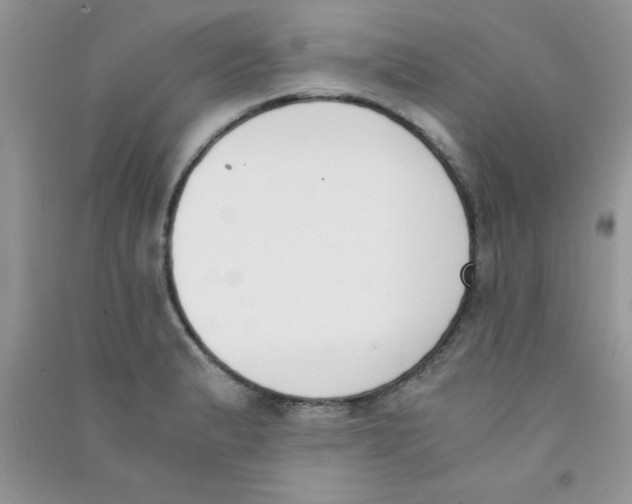 X0000090741183200708172002