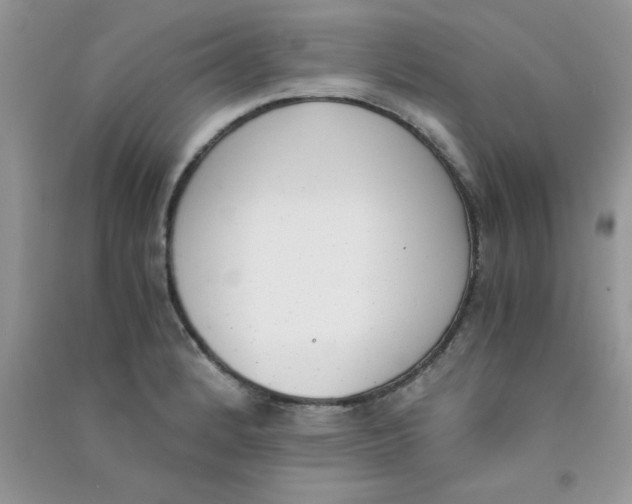 X0000090741184200708172002