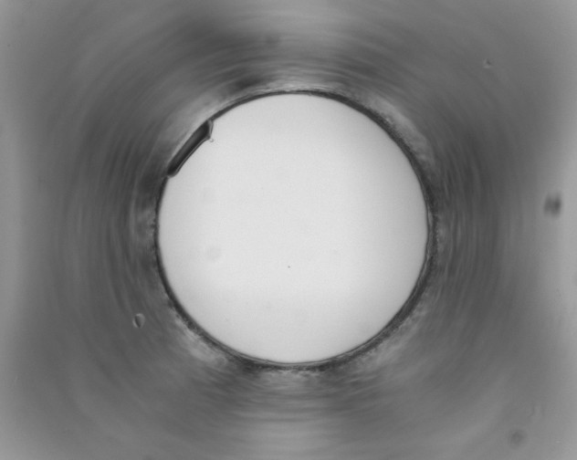 X0000090741185200708172001