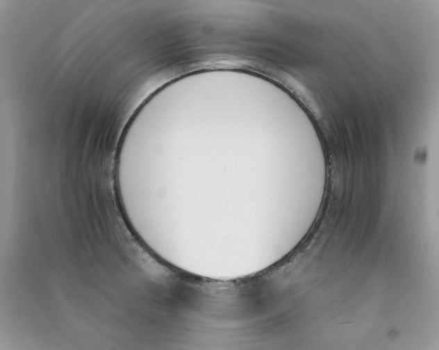 X0000090741186200708172001