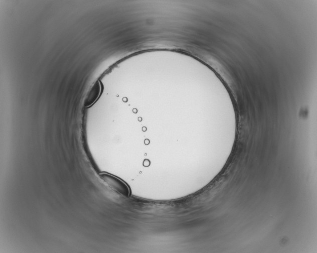 X0000090741187200708172001