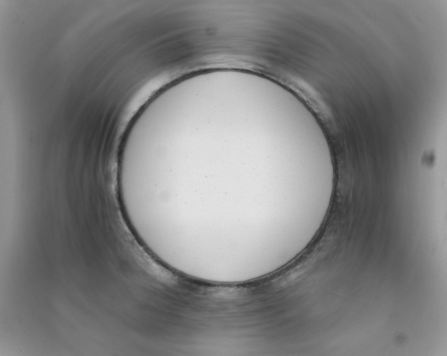 X0000090741188200708172001