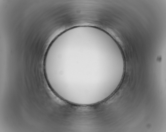 X0000090741189200708172001