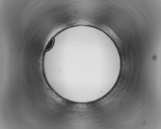 X0000090741190200708172001