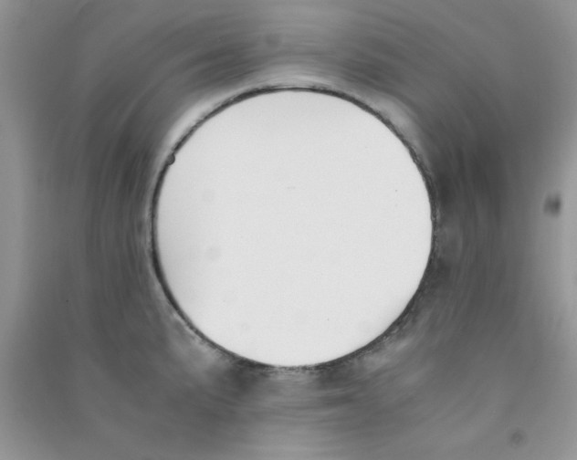 X0000090741191200708172001