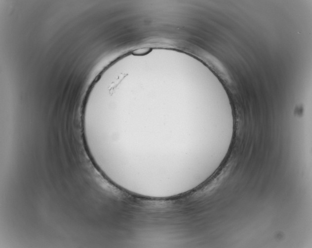 X0000090741192200708172001