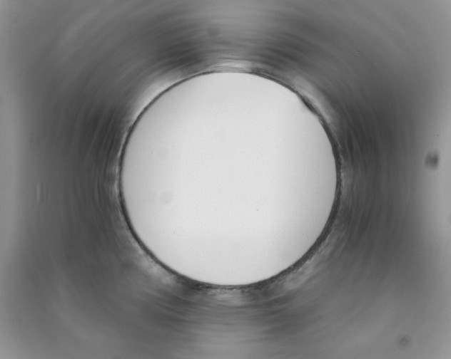 X0000090741194200708172001