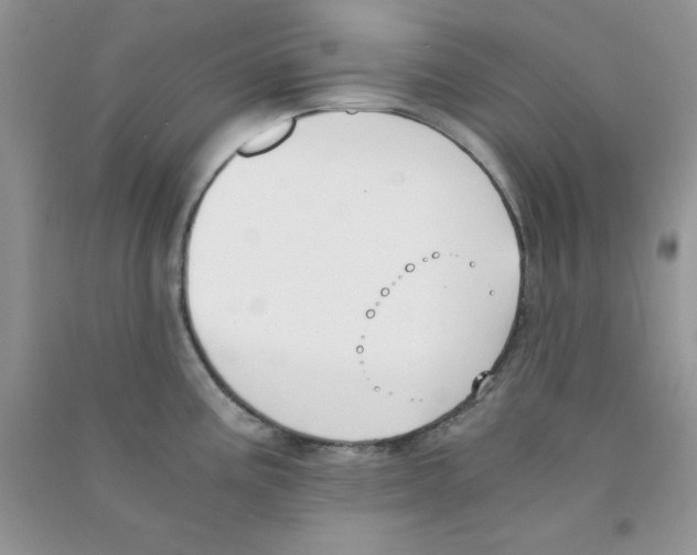 X0000090741195200708172001