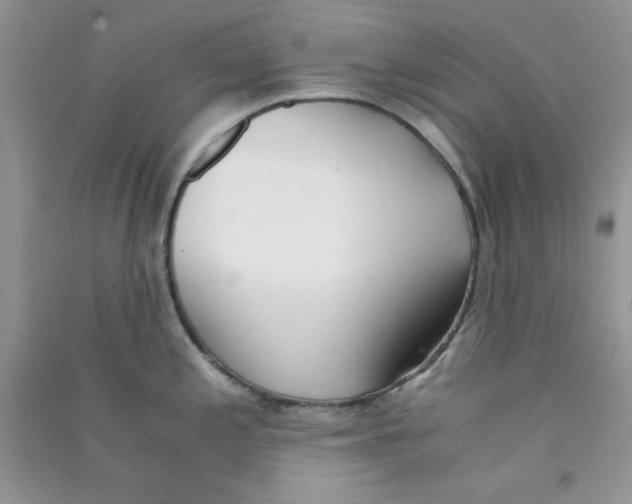 X0000090741197200708172001