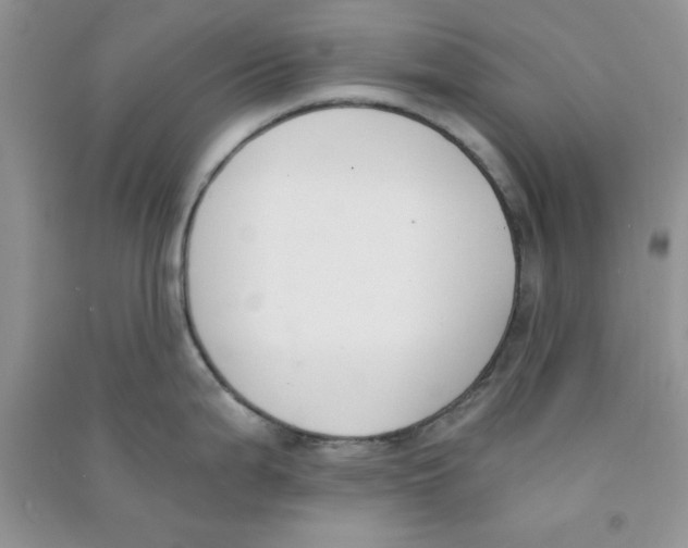 X0000090741199200708172001