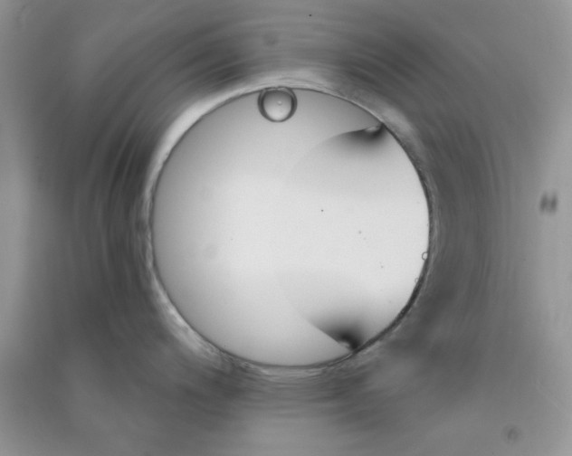 X0000090741200200708172001