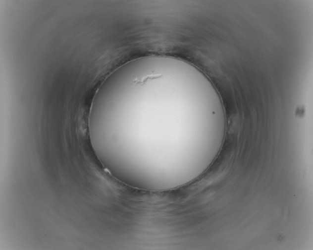 X0000090741202200708172001