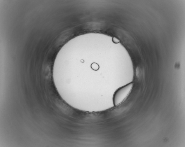 X0000090741203200708172001