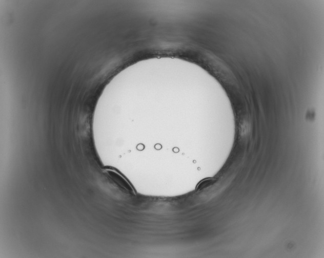 X0000090741204200708172001