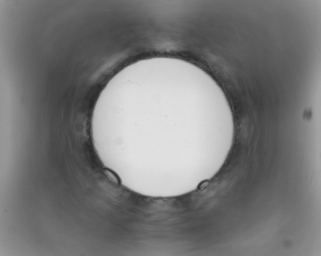 X0000090741205200708172001