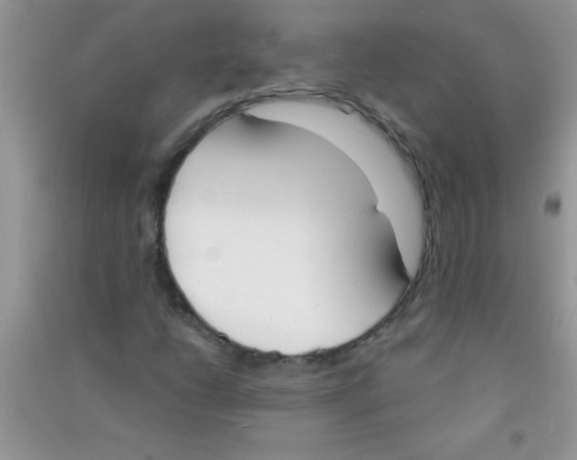 X0000090741206200708172001