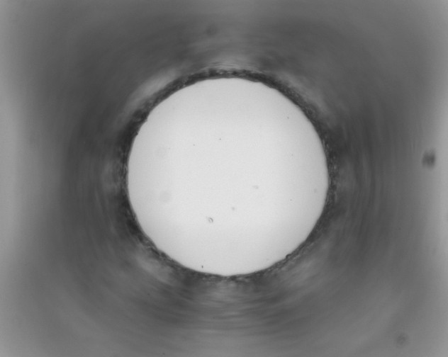 X0000090741207200708172001