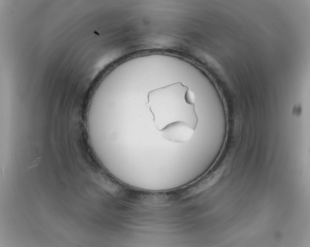 X0000090741210200708172001