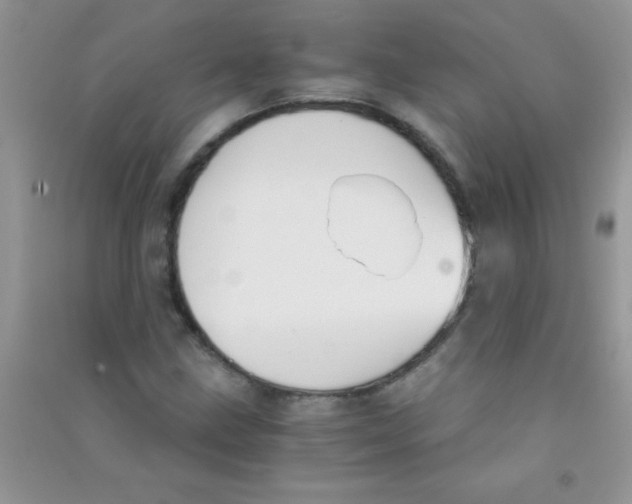 X0000090741211200708172001