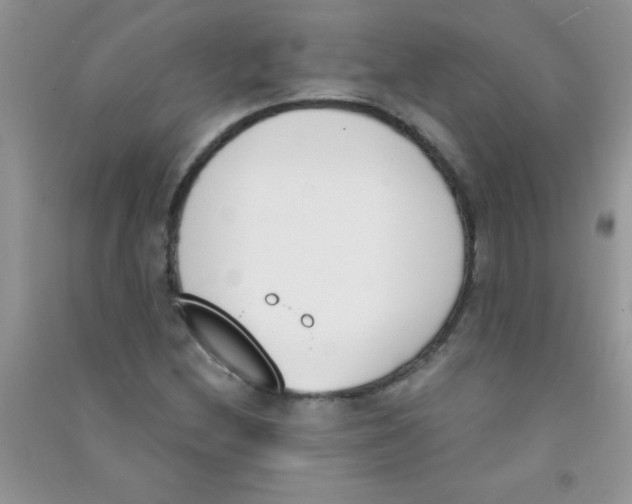 X0000090741212200708172001