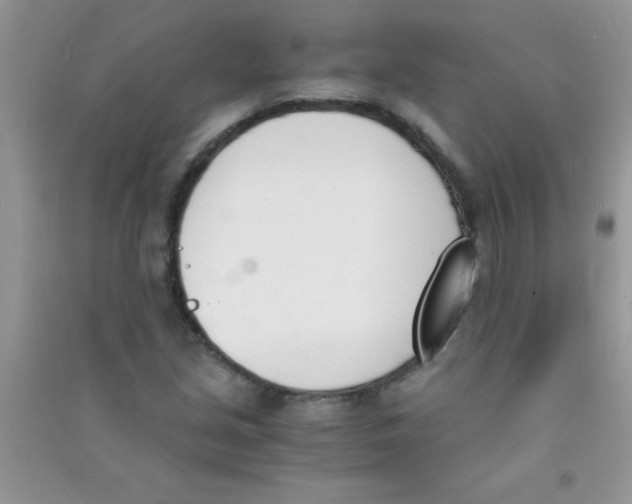 X0000090741213200708172001