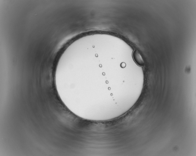 X0000090741214200708172001