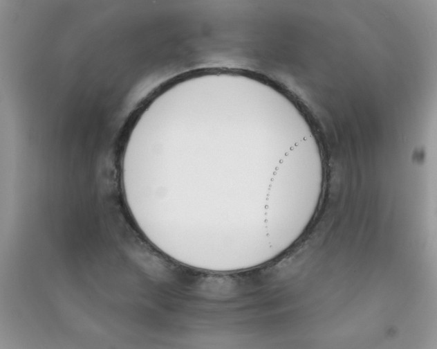 X0000090741215200708172001