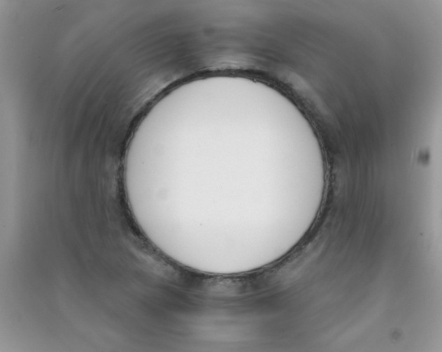 X0000090741217200708172001