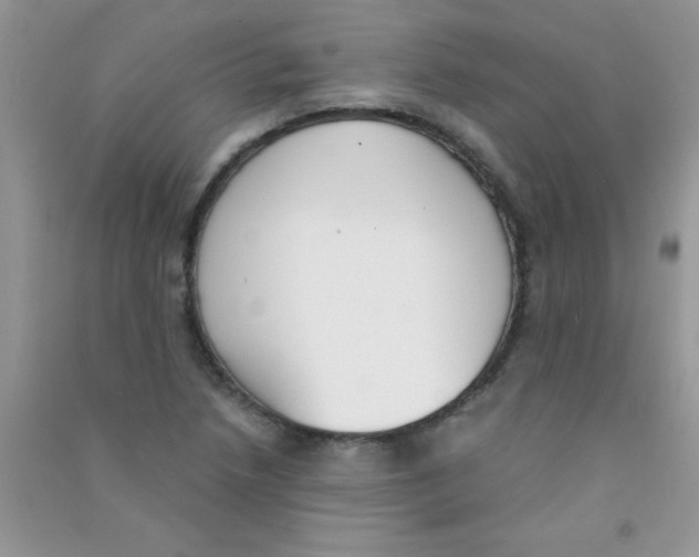 X0000090741218200708172001