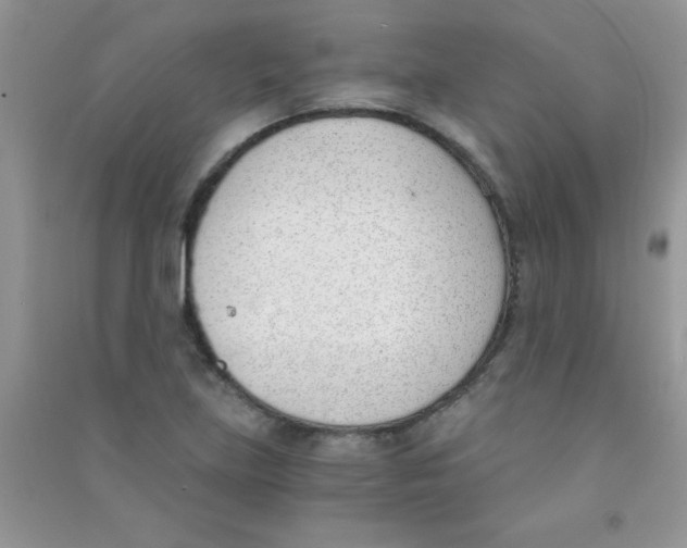 X0000090741219200708172001