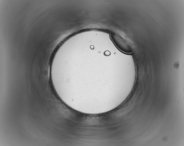 X0000090741221200708172001