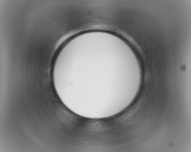 X0000090741222200708172001