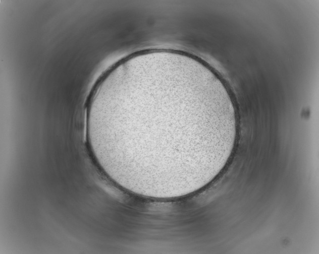 X0000090741223200708172001