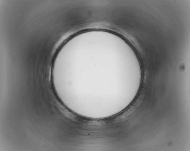 X0000090741224200708172001