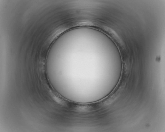 X0000090741225200708172001