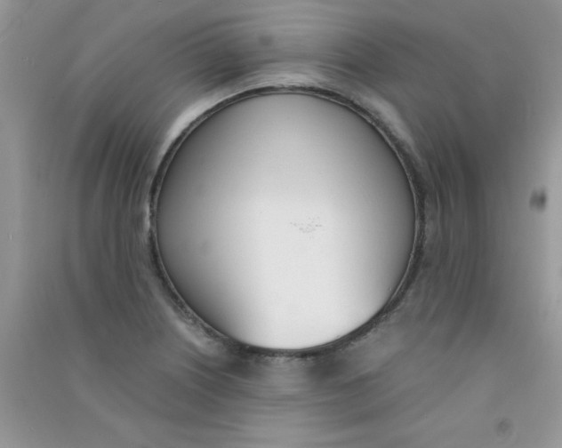 X0000090741226200708172001