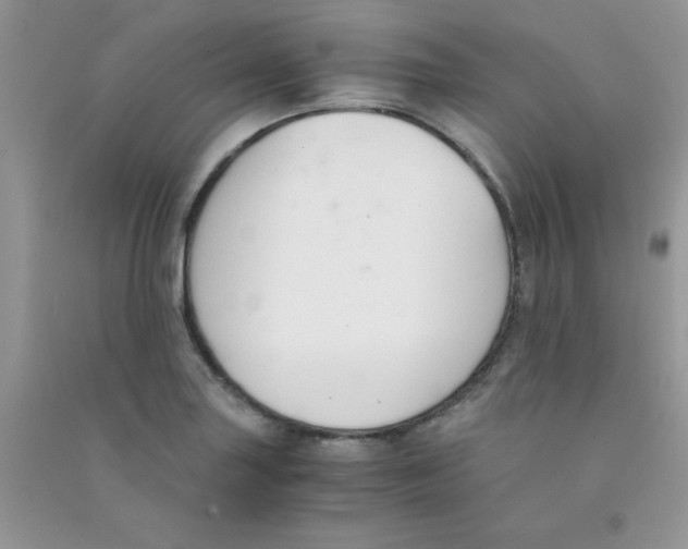 X0000090741227200708172001