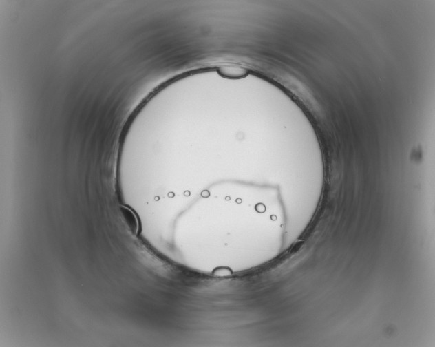 X0000090741228200708172001