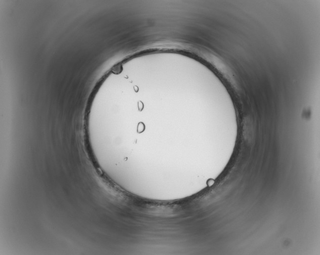 X0000090741229200708172001