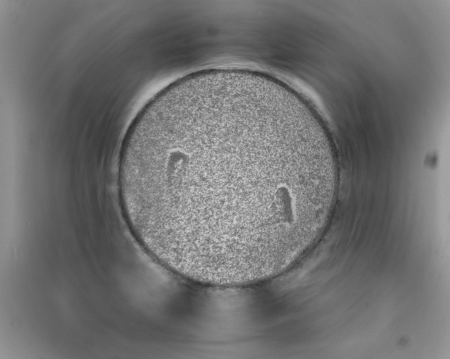 X0000090741231200708172001