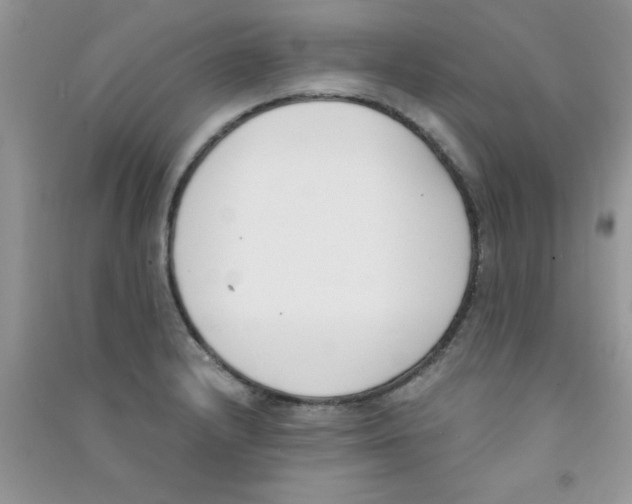 X0000090741232200708172001