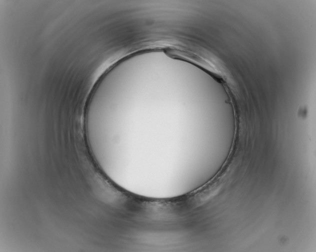 X0000090741234200708172001