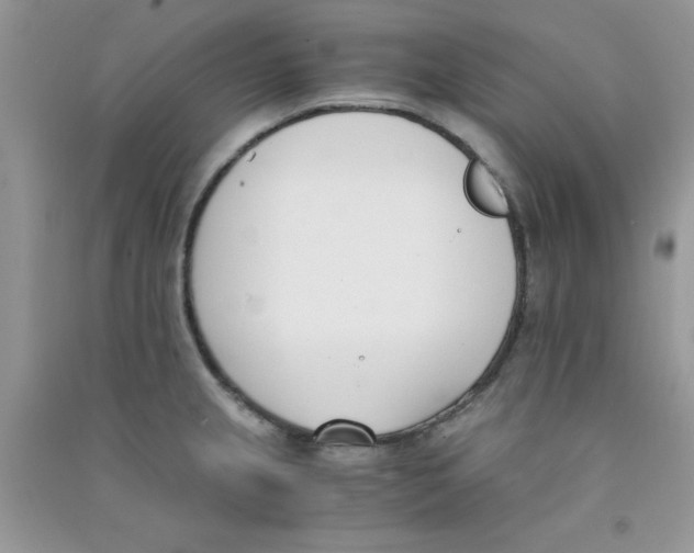 X0000090741237200708172001