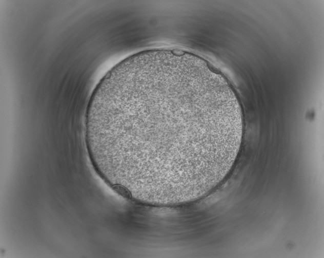 X0000090741239200708172001