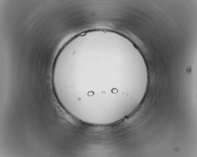 X0000090741240200708172001