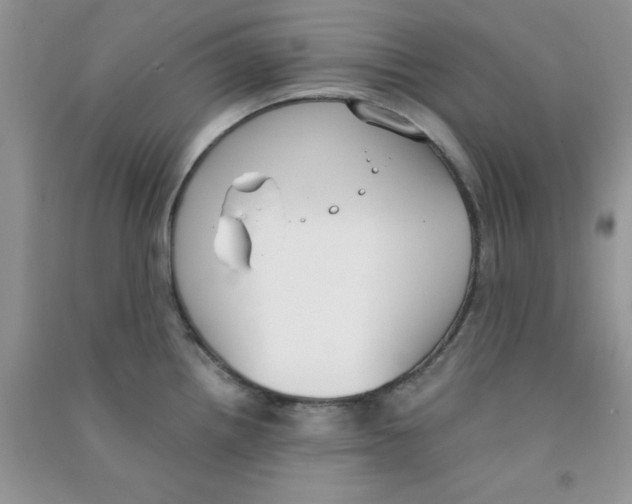 X0000090741242200708172001