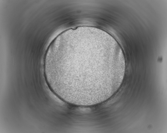 X0000090741243200708172001