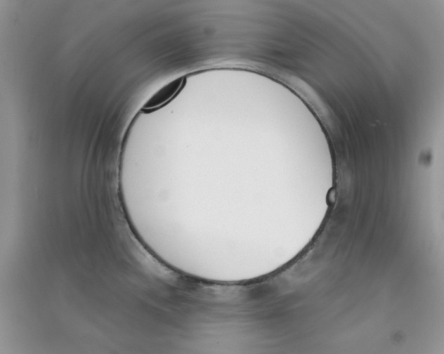 X0000090741244200708172001