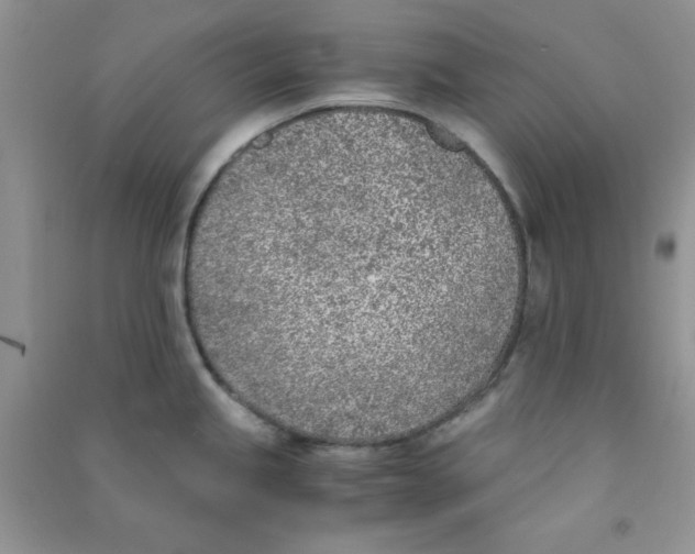 X0000090741245200708172001