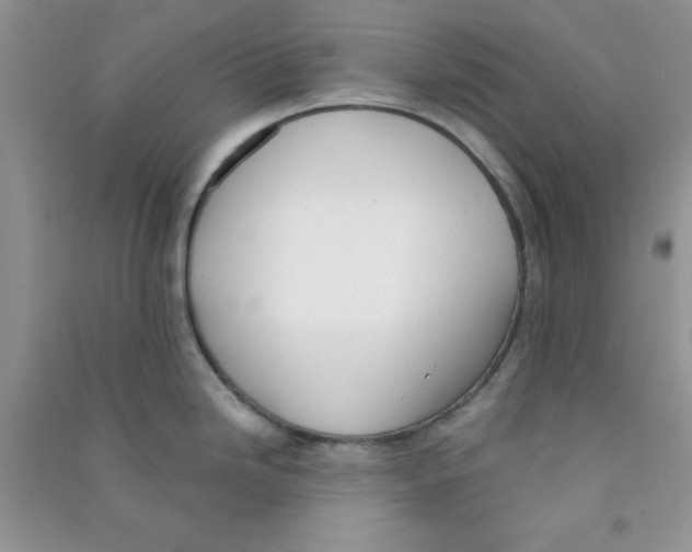 X0000090741246200708172001